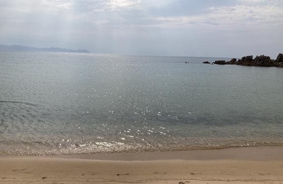 夏の思い出